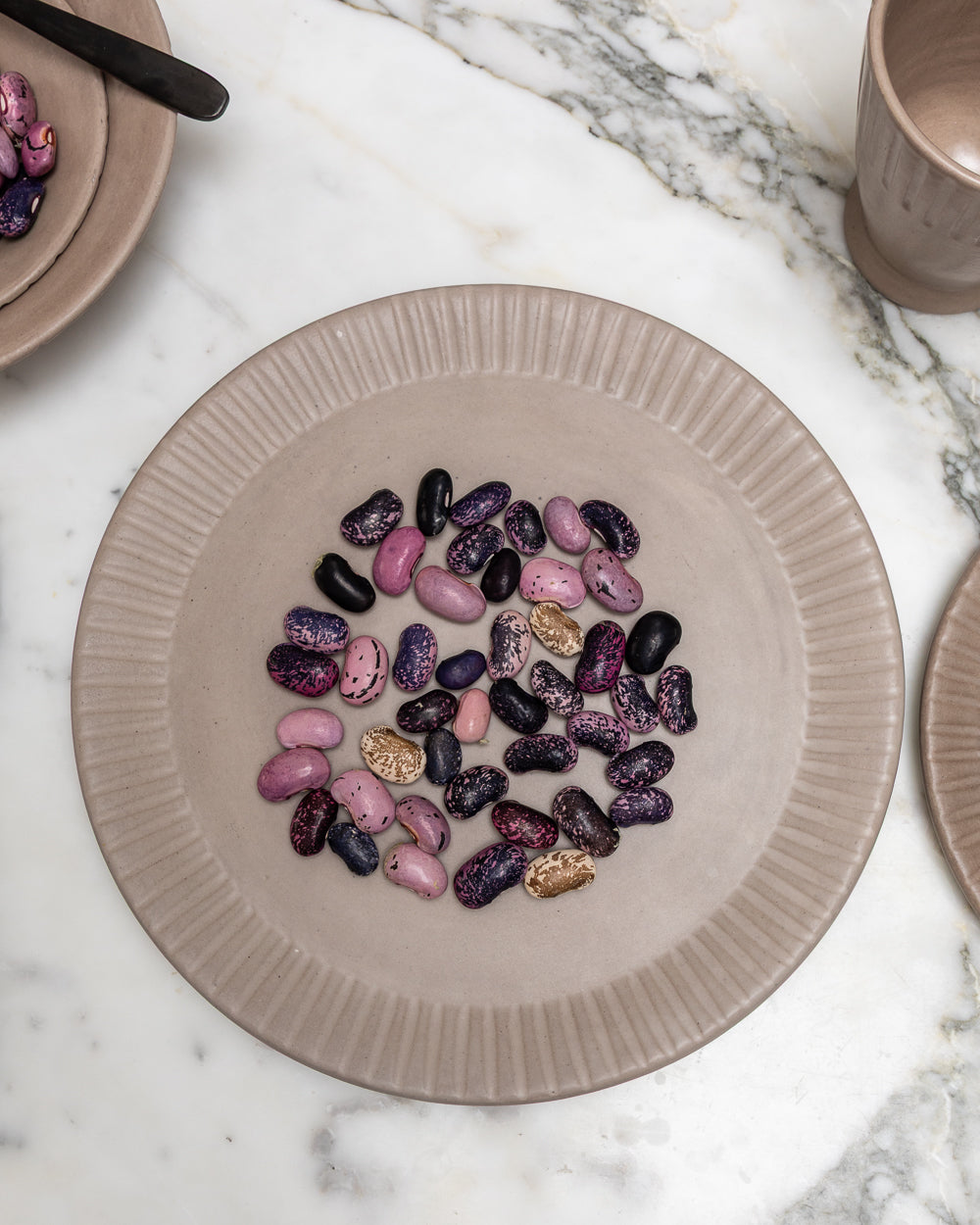 Clay-toned ceramic dinner plate scattered with speckled purple beans on white marble, seen from above