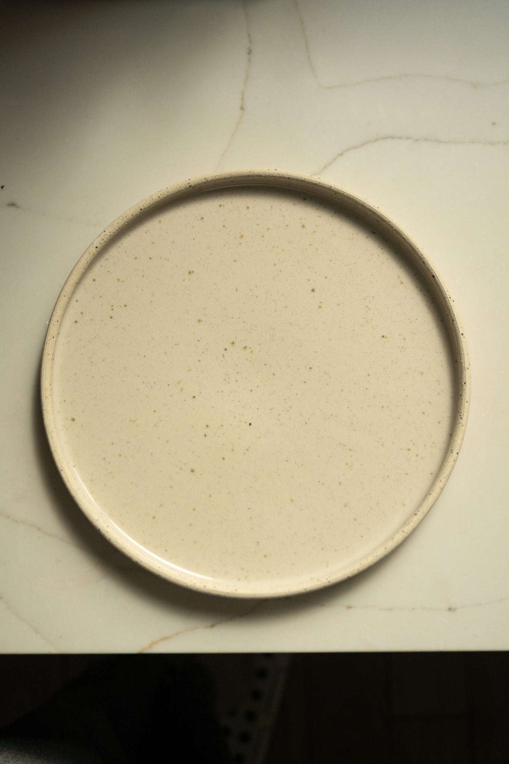 Speckled Stoneware Pottery Plate, White