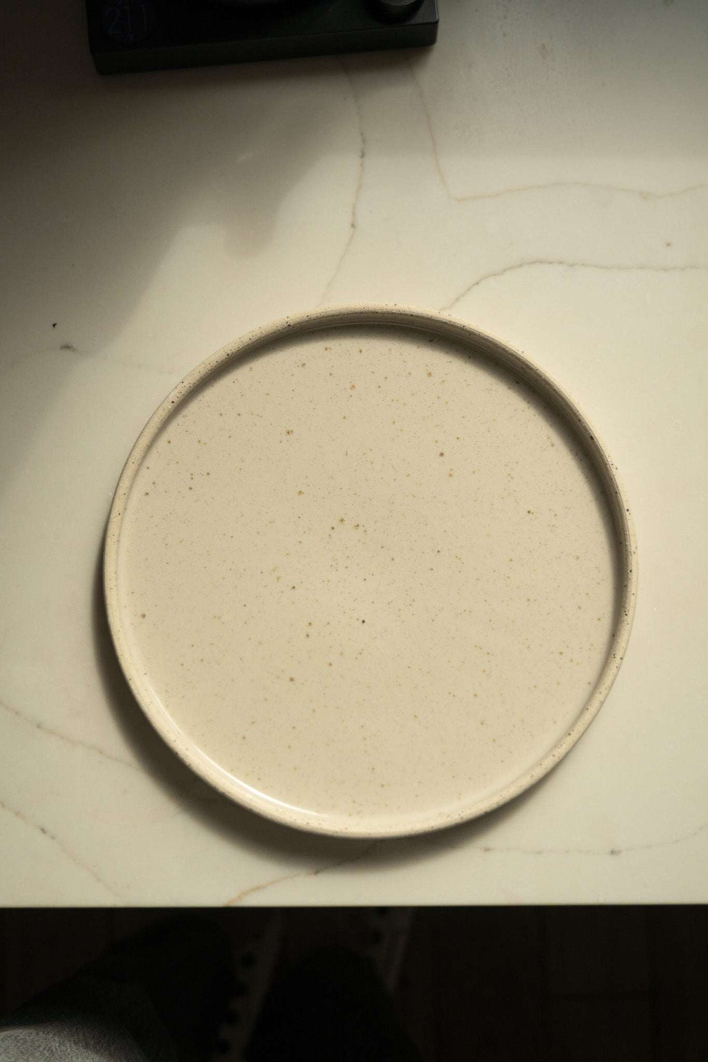 Speckled Stoneware Pottery Plate, White