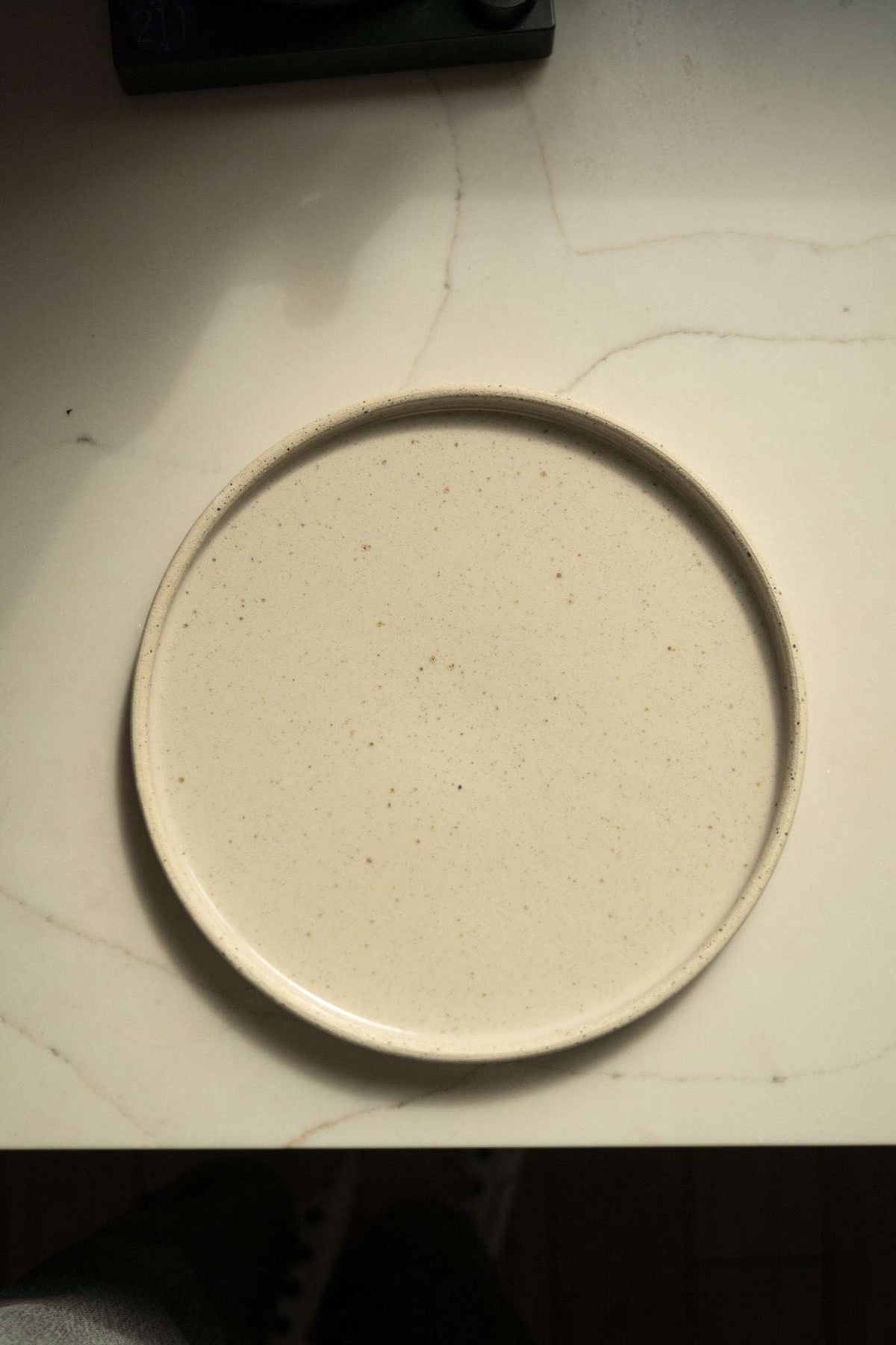 Speckled Stoneware Pottery Plate, White