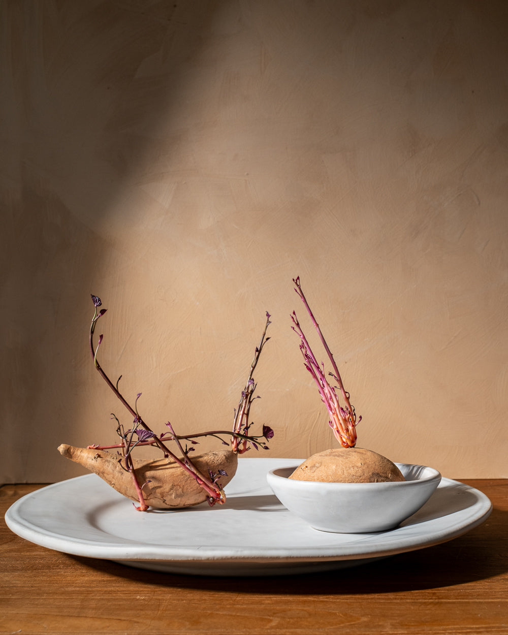 Oval Matte White Ceramic Serving Tray, detail view