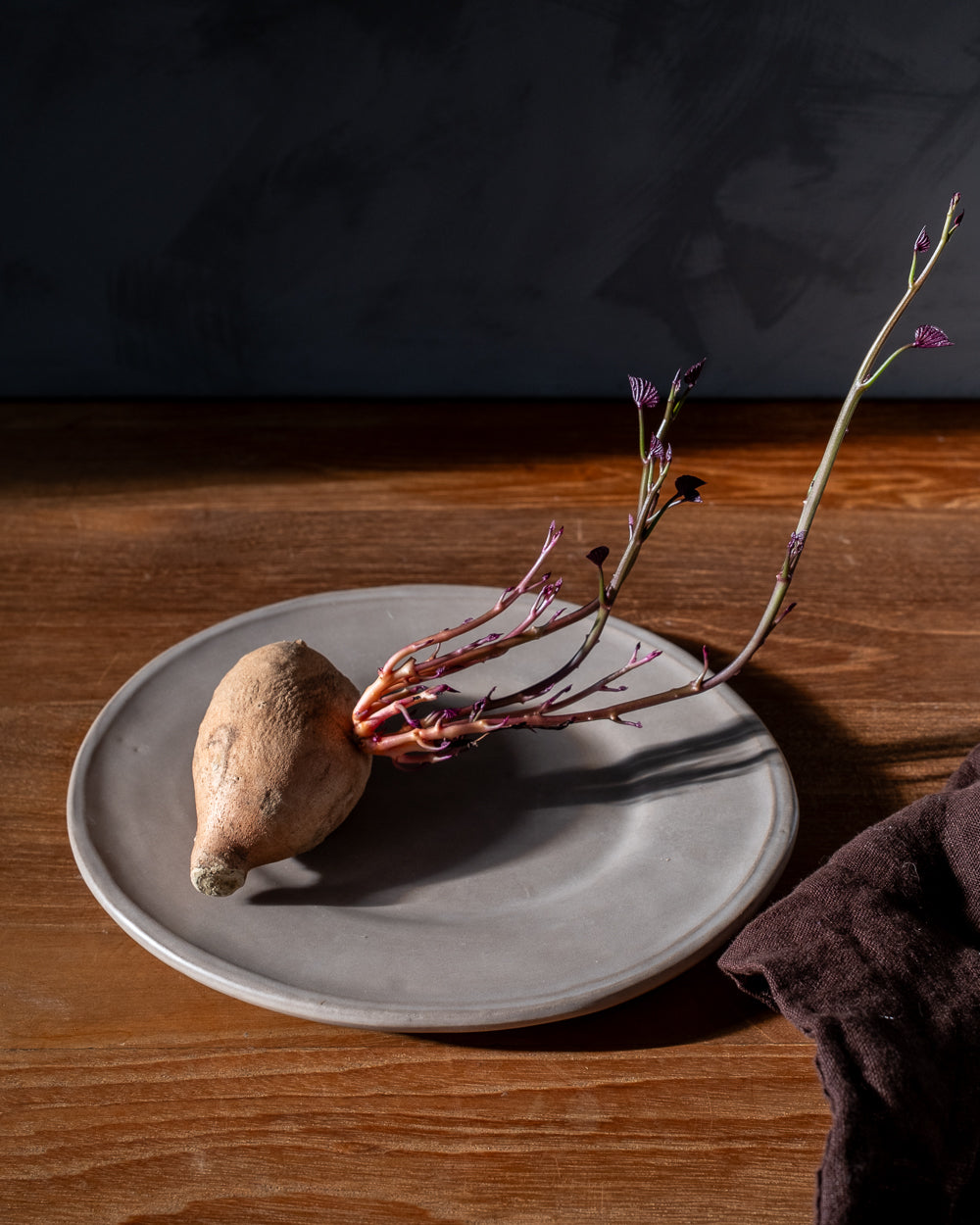 Oval Clay-Toned Ceramic Dessert Plates, Set of 4, another angle