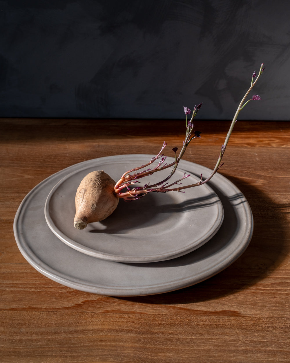 Oval Clay-Toned Ceramic Dinner Plates, Set of 4, detail view