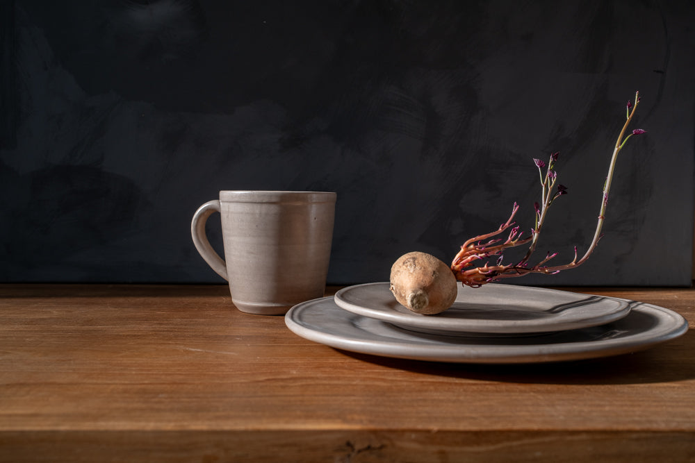 Oval Clay-Toned Ceramic Dinner Plates, Set of 4, another angle