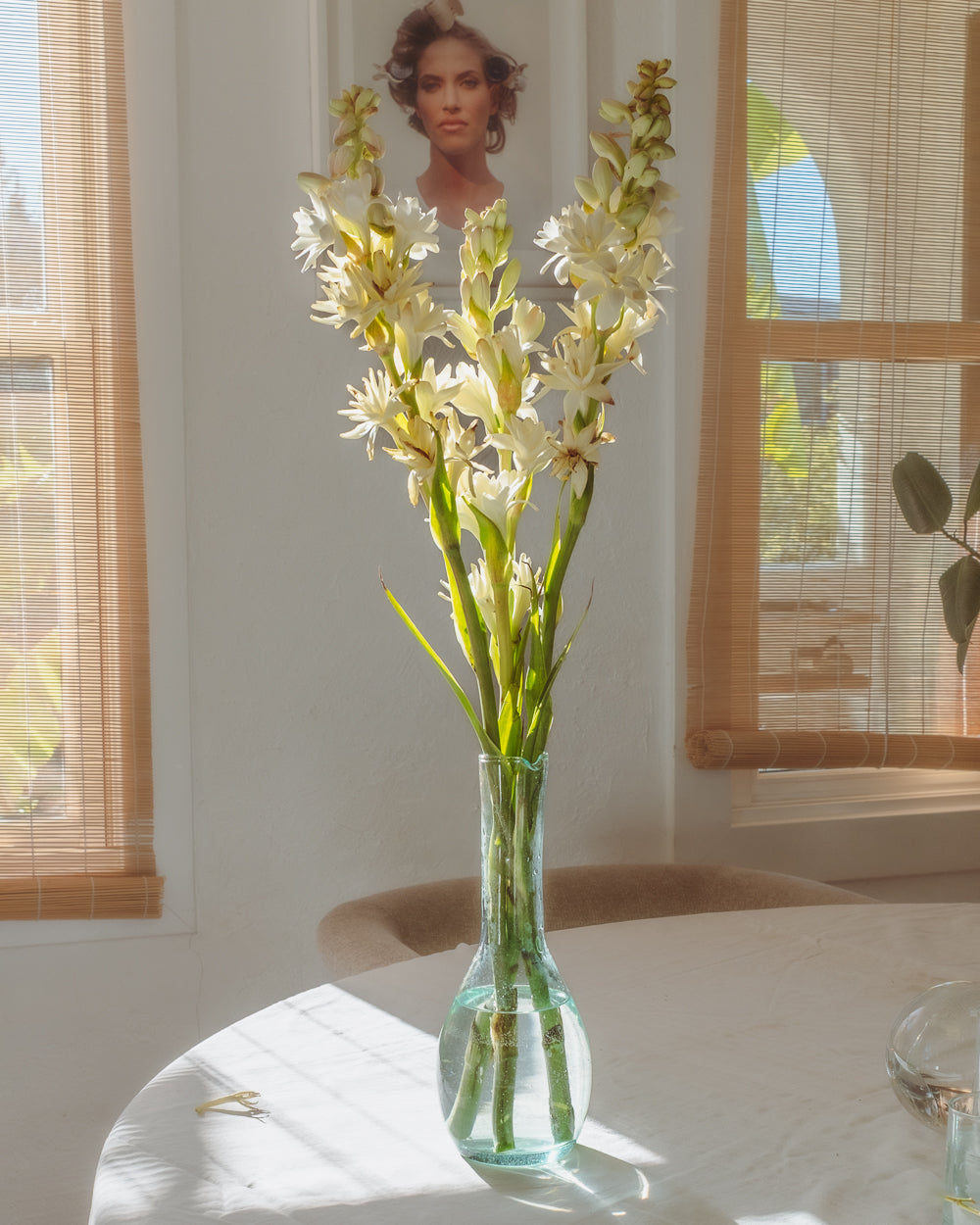 Recycled glass carafe holding tall white flowers on a round table in front of a bright window