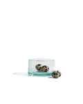 Petit Mouth-Blown Recycled Glasses, Set of 6