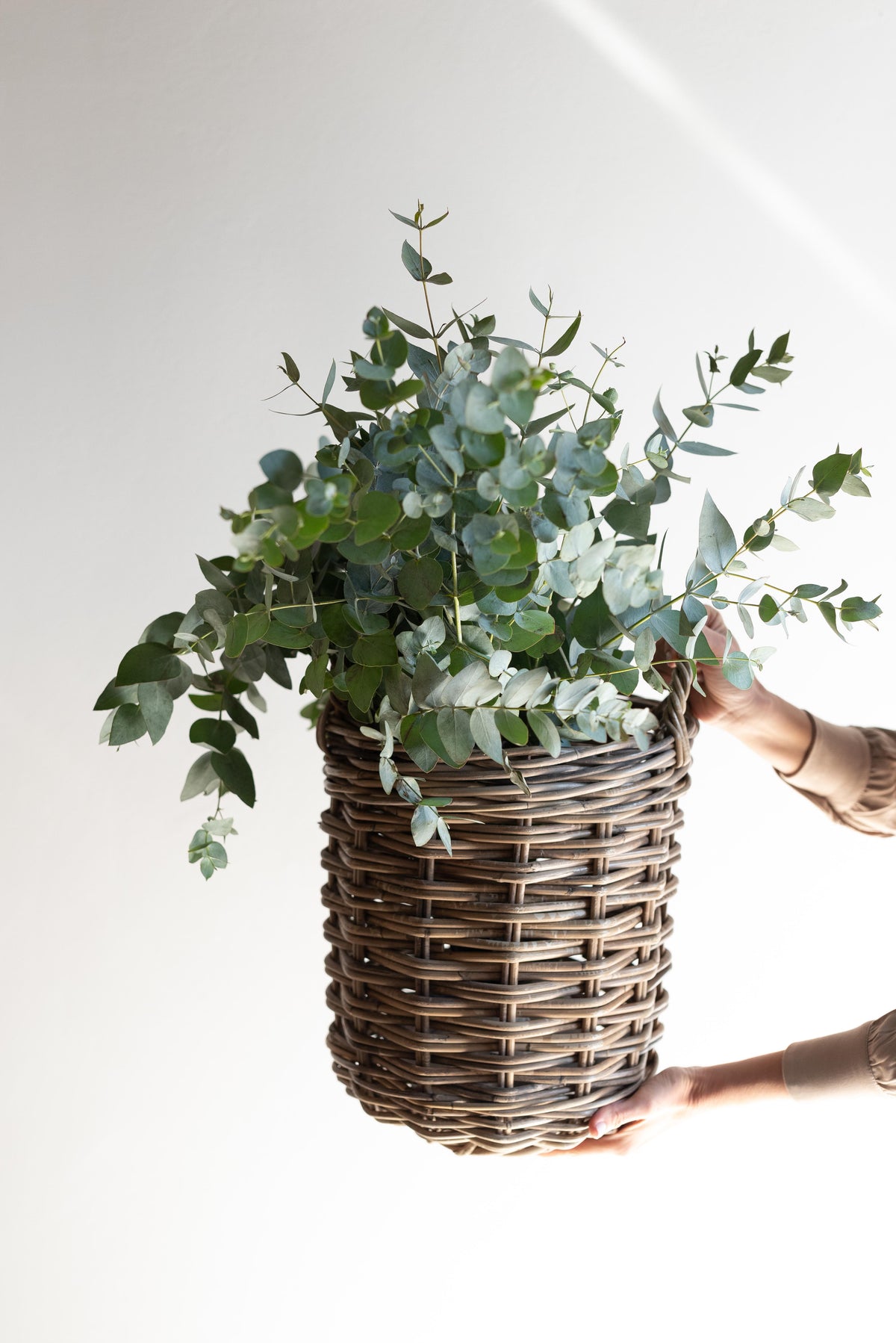 Rattan Round Basket, view 5