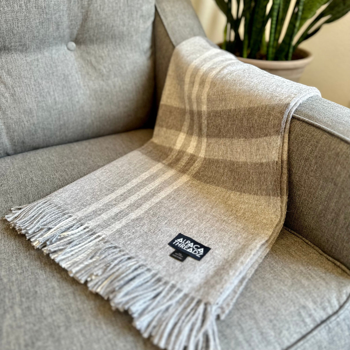 Gray baby alpaca plaid throw with pale stripes and fringe draped over the arm of a gray sofa