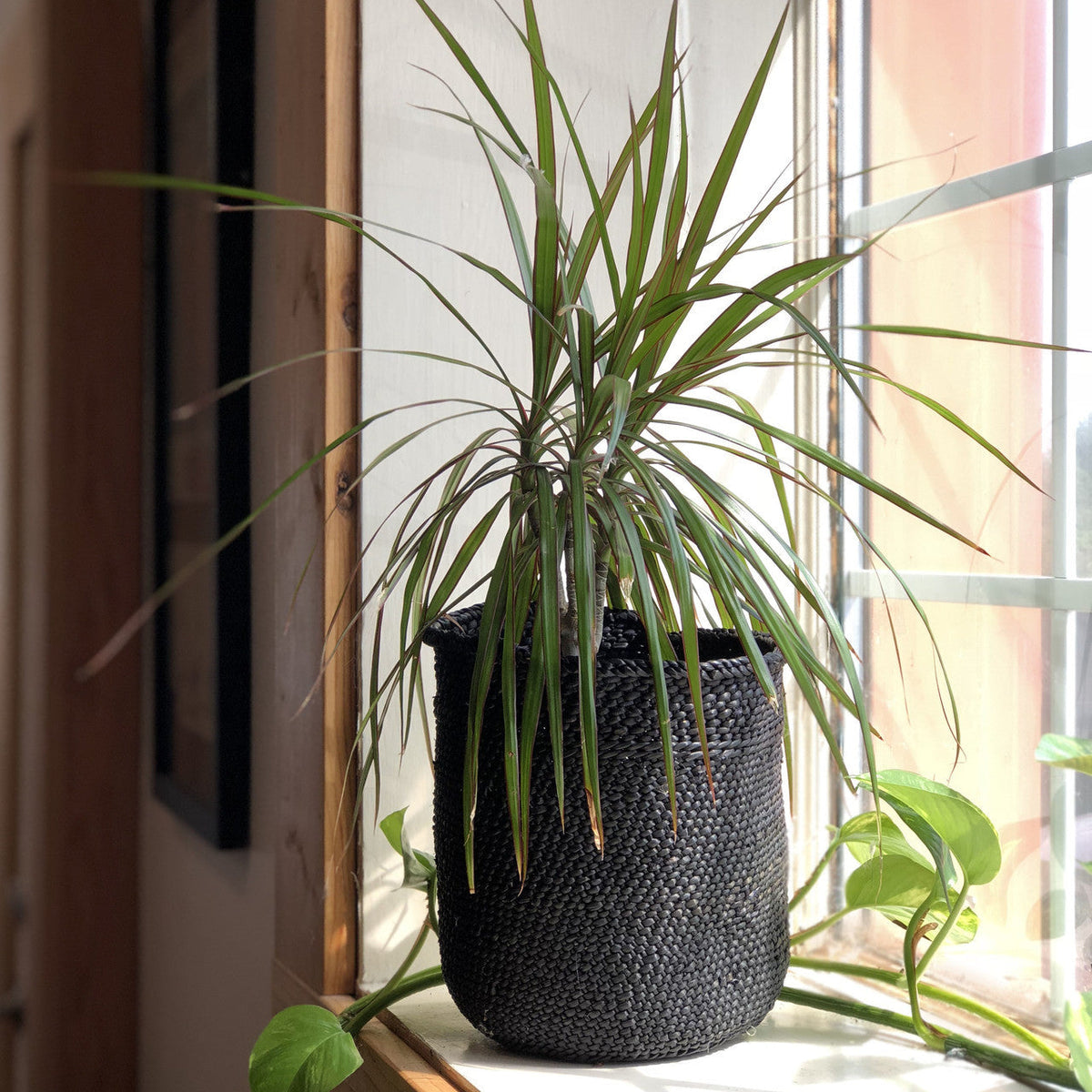 Black Iringa Woven Basket, view 5