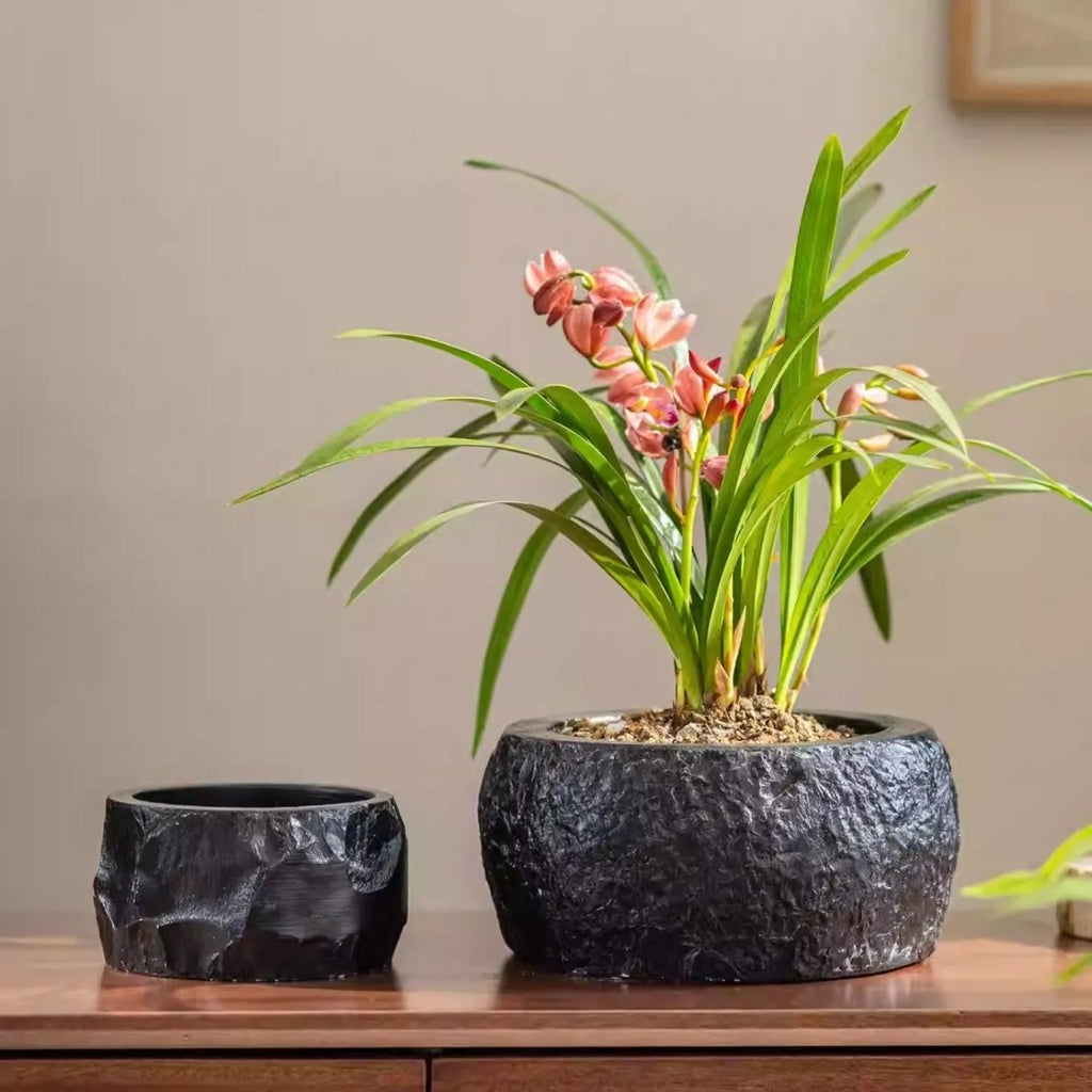 Small and large black cement planters on a wood sideboard, the large one planted with a flowering orchid