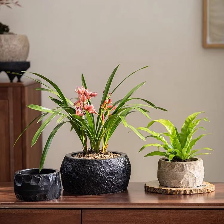 Small black, large black and small sand cement planters in a row with an orchid and a fern