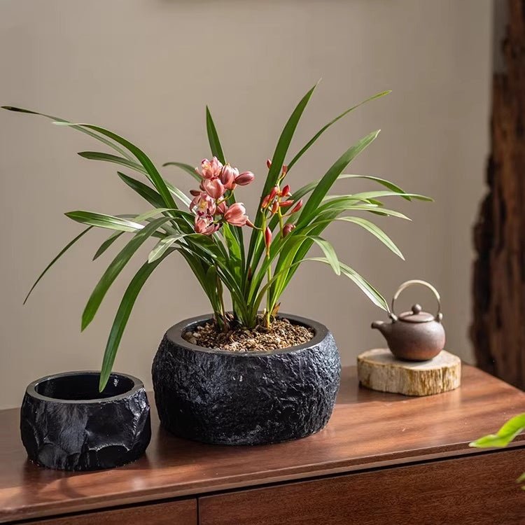 Large black cement planter with a pink orchid beside an empty small black planter and a clay teapot