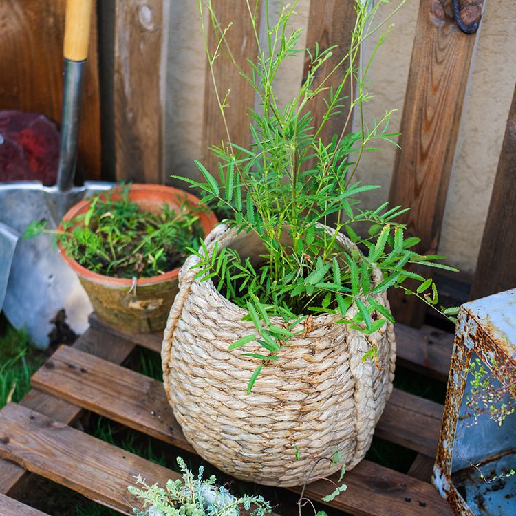 Braided Rope Effect Cement Planter, detail view