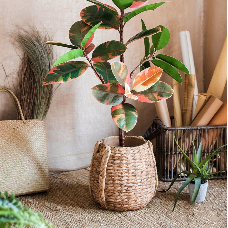Braided Rope Effect Cement Planter, view 6