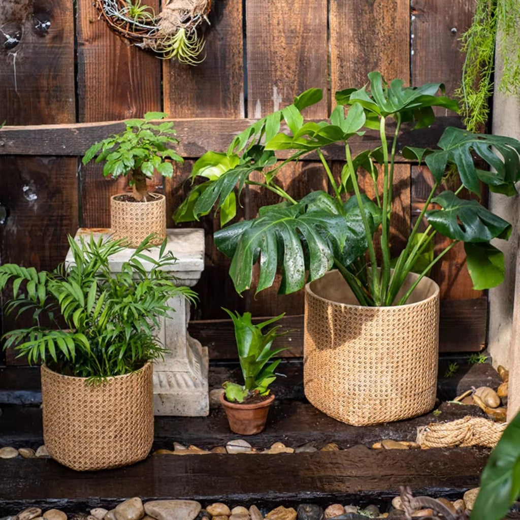 Rattan Texture Cement Planter, alternate view