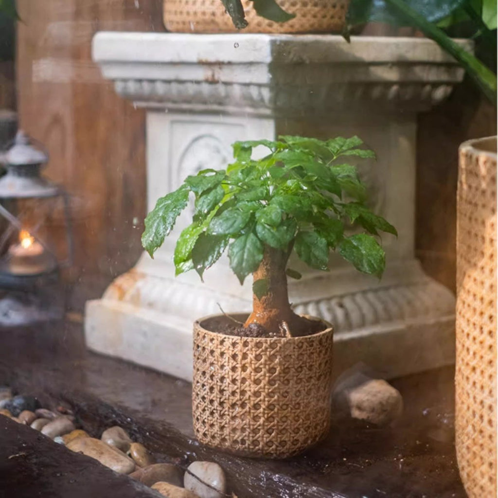 Rattan Texture Cement Planter, view 8