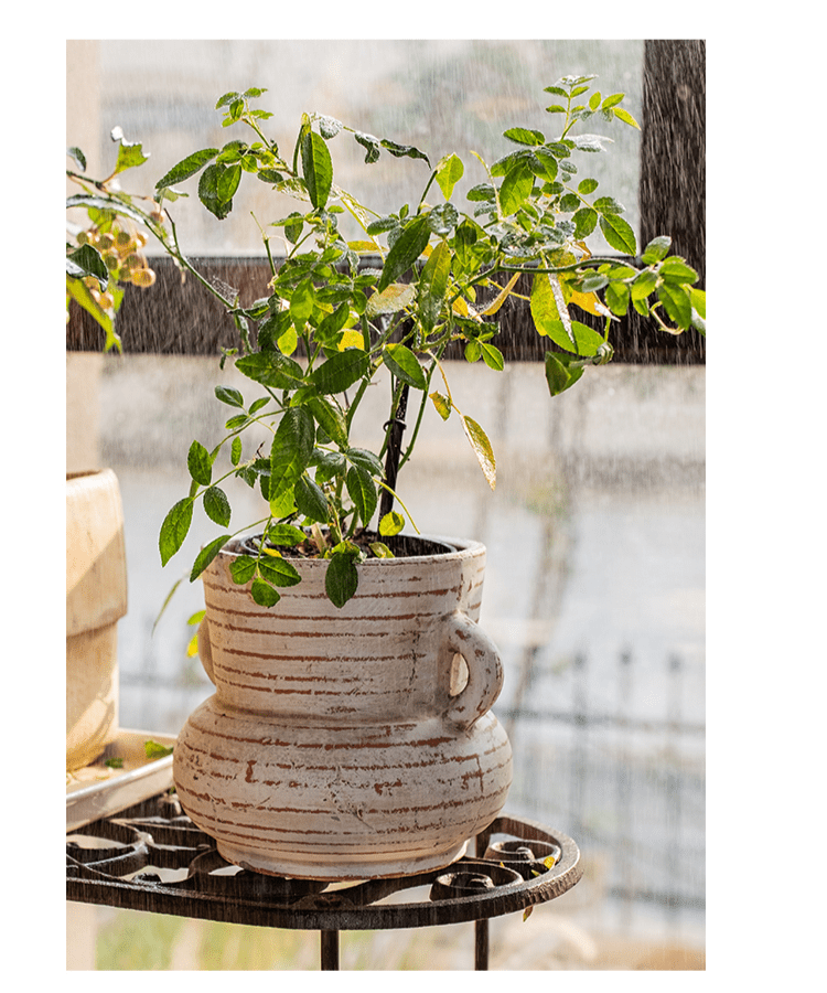 Terracotta Planter Vase with Handles, another angle