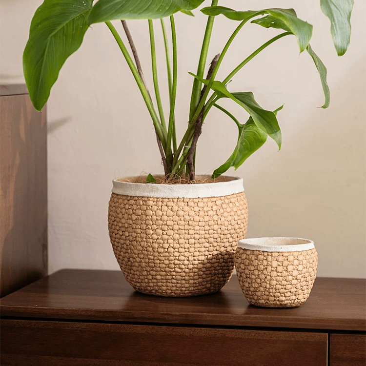 Medium and small woven texture cement planters in tan with ivory rims on a walnut sideboard