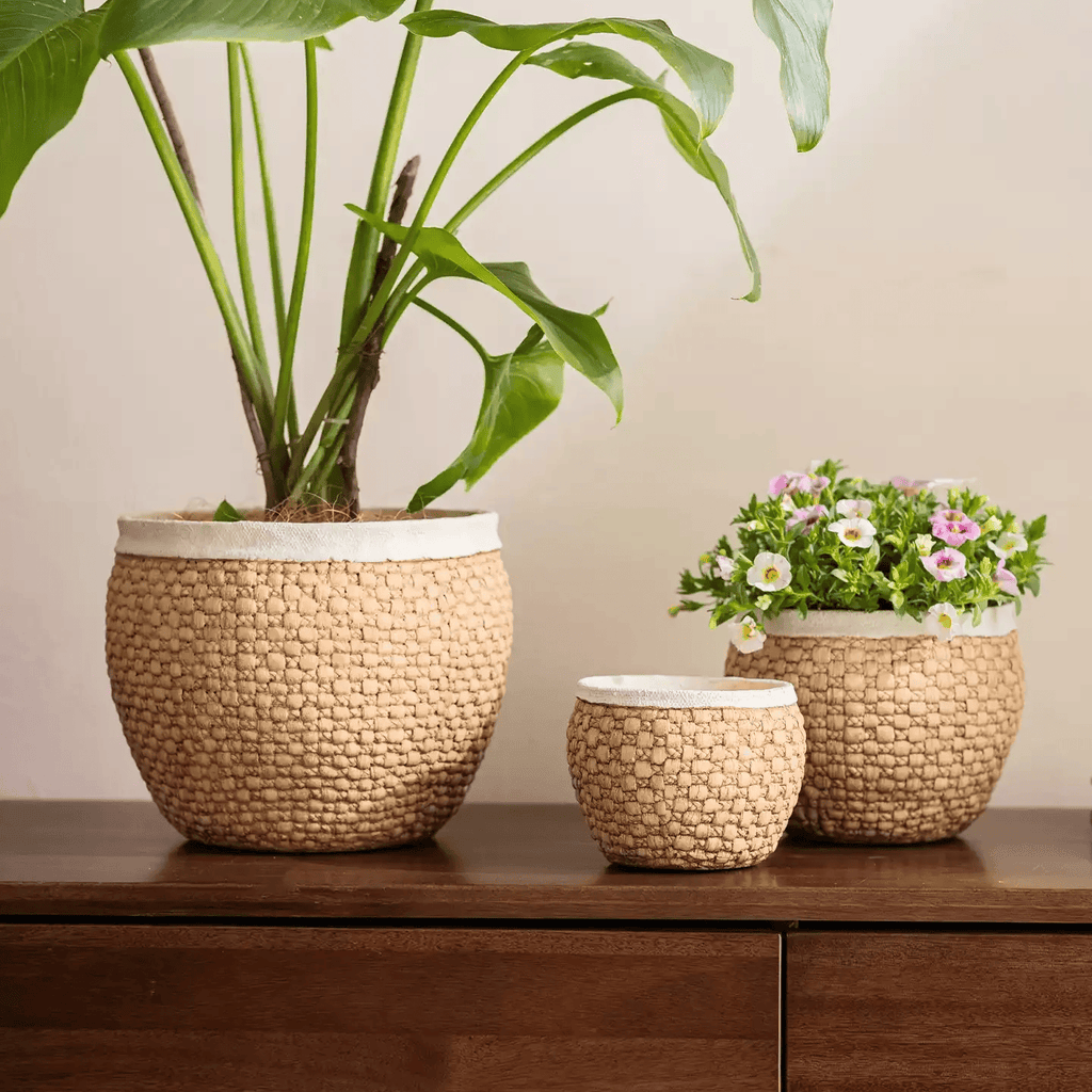 Woven texture cement planters with ivory rims holding a leafy plant and pink flowers on a cabinet