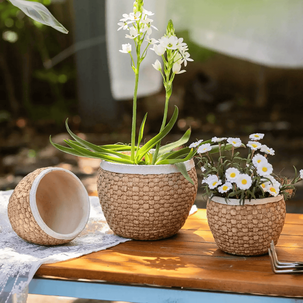 Woven texture cement planters with ivory rims holding white flowers on a sunny garden table