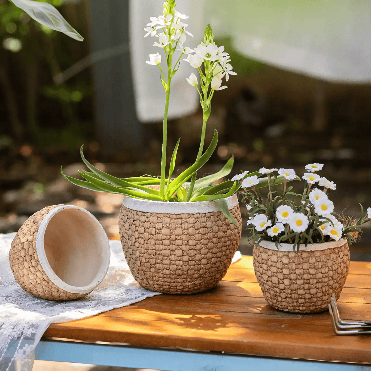 Woven texture cement planters with ivory rims holding white flowers on a sunny garden table