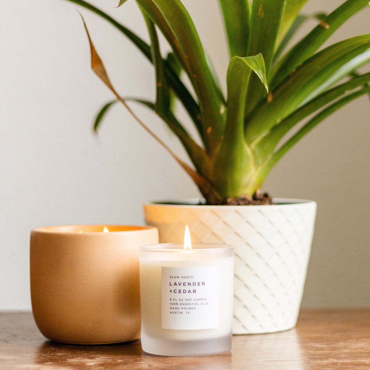 Lit frosted glass soy candle beside a tan candle and a potted plant in a white planter on a wood shelf