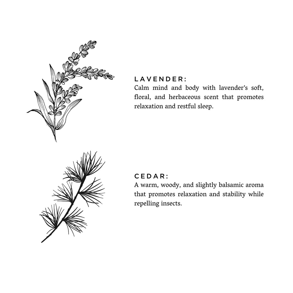 Botanical line drawings of a lavender sprig and a cedar branch, the two essential oils in the soy candle