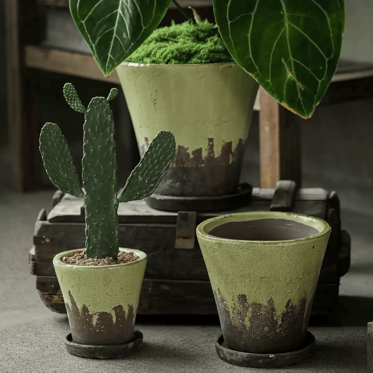 Pale green crackle glaze ceramic planter with saucer beside a small cactus pot on a wooden crate