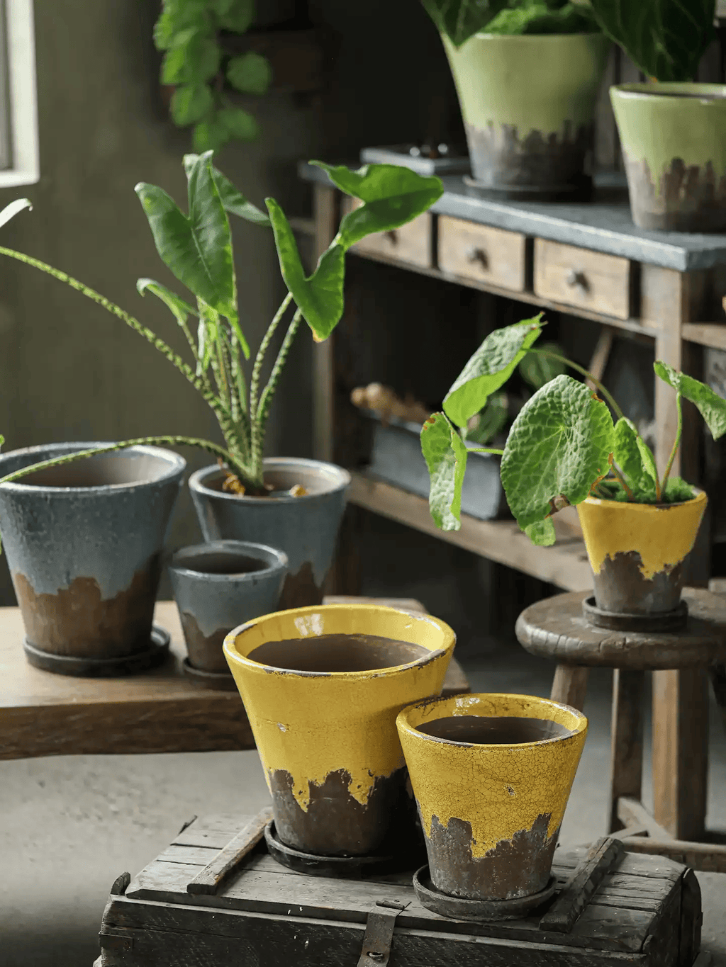Slate blue and mustard yellow crackle glaze ceramic planters grouped on a wooden stool and crate