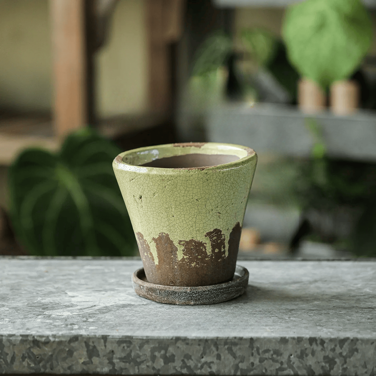 Medium moss green crackle glaze ceramic planter with saucer on a concrete ledge