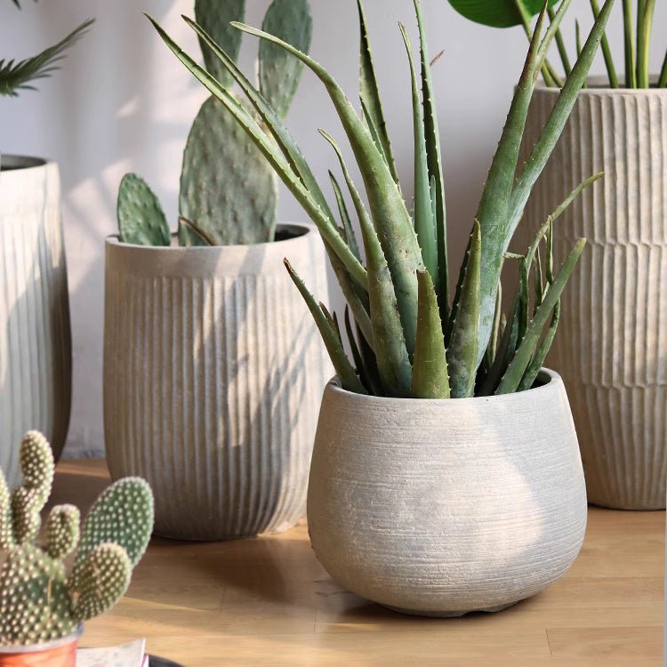 Globe Cement Planter, Antique White, another angle