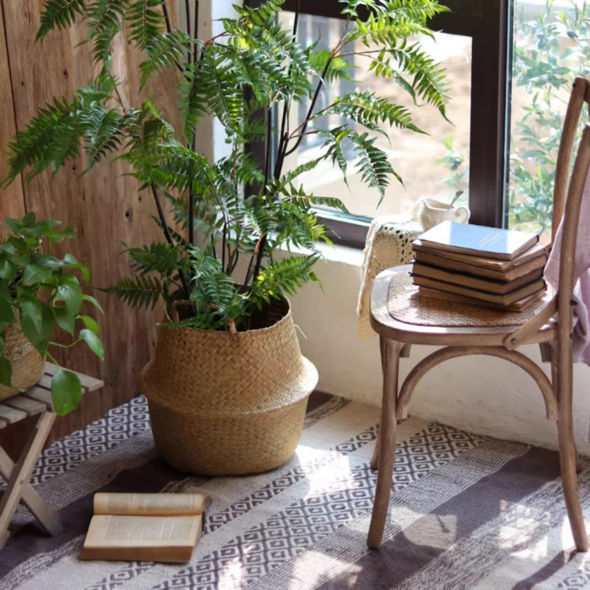 Medium seagrass belly basket holding a leafy potted plant by a sunny window and a wooden chair