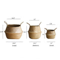 Size chart for the woven seagrass belly basket in large, medium and small with width and height