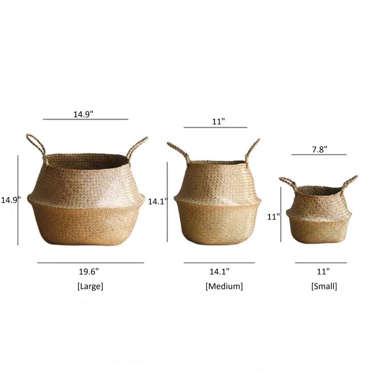 Size chart for the woven seagrass belly basket in large, medium and small with width and height